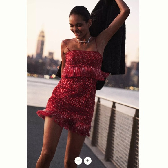Anthropologie Saylor Caitriona Sequin Fringe Mini Dress | Poshmark
