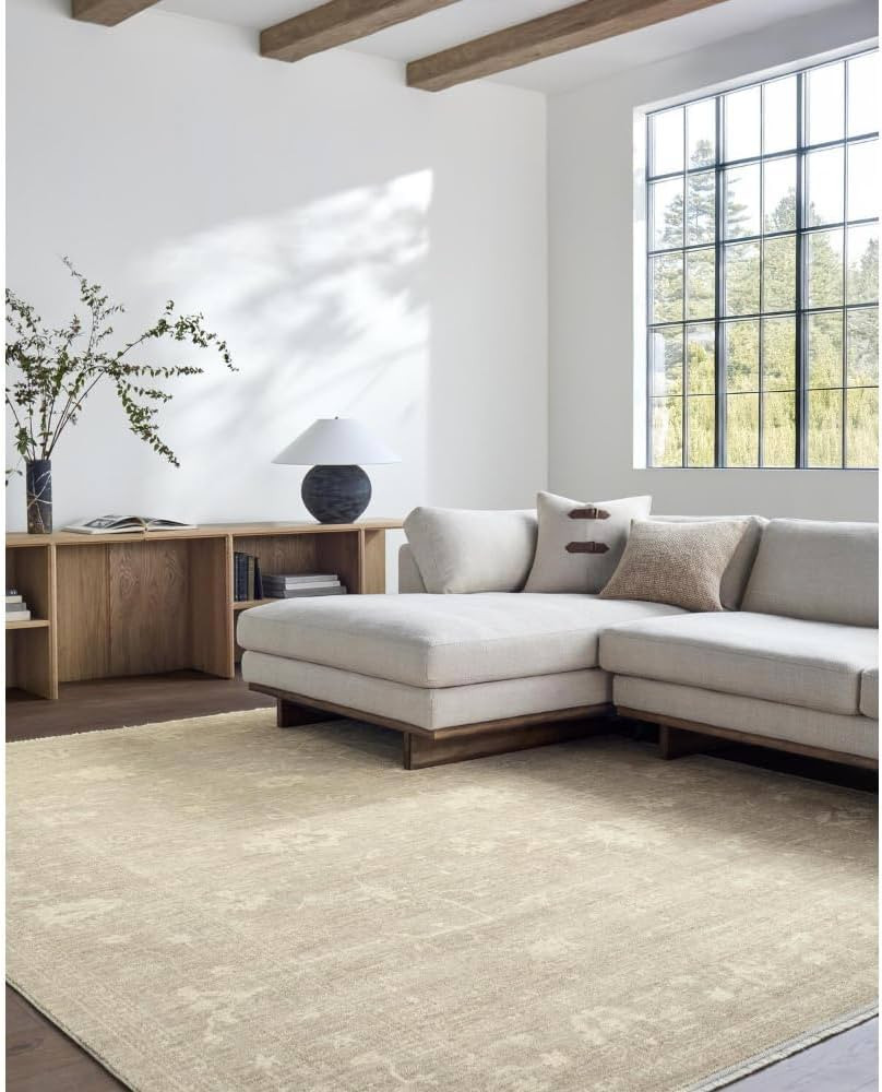 Livabliss x Galey Alix Fetscher III Vintage Damask Area Rug, 7'10" x 10' (8' x 10'), Light Brown | Amazon (US)