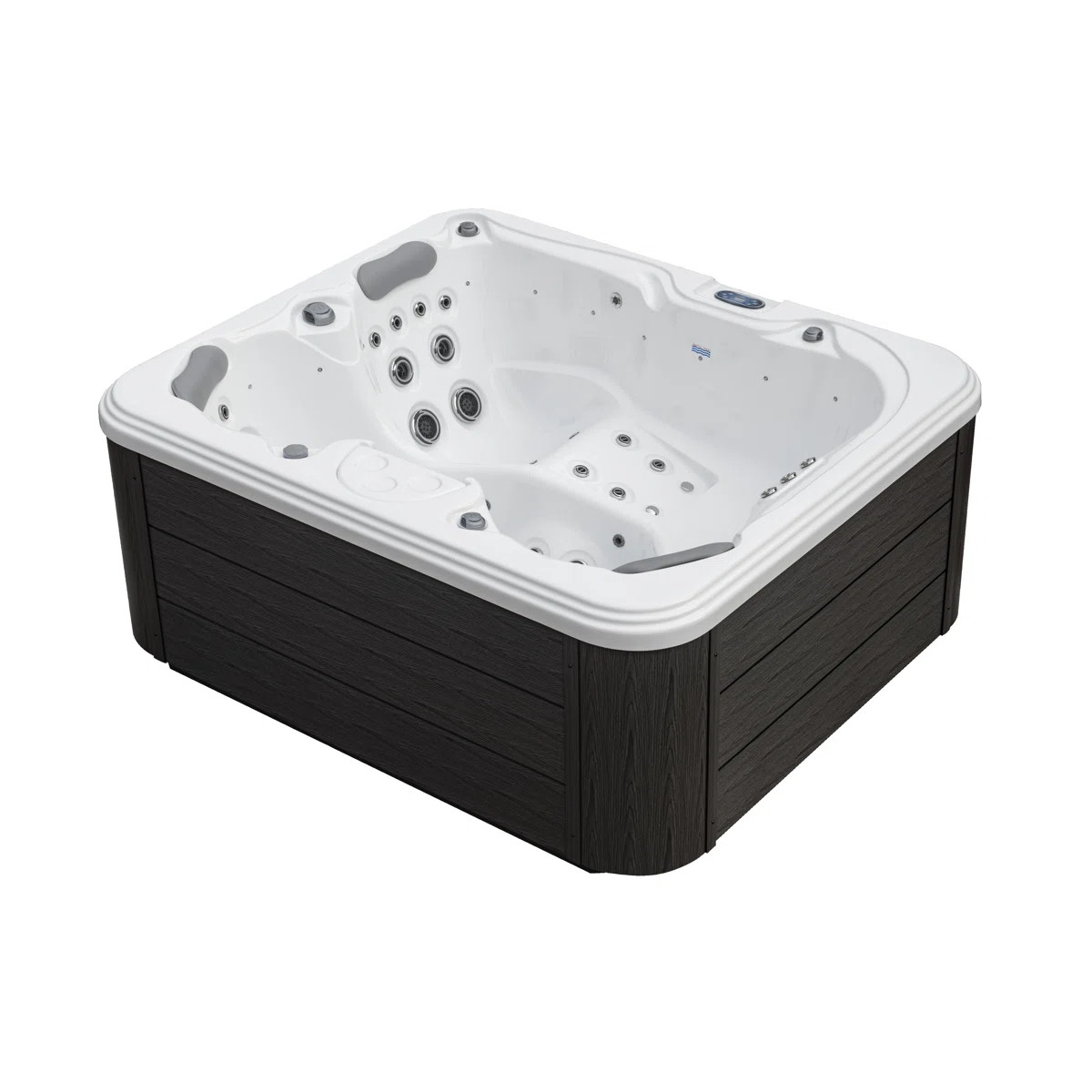 Excellence® 3-4 Person 41-Jet Lounger Hot Tub Spa with Bluetooth Stereo, 3 Pumps, LED Lighting, ... | Wayfair North America