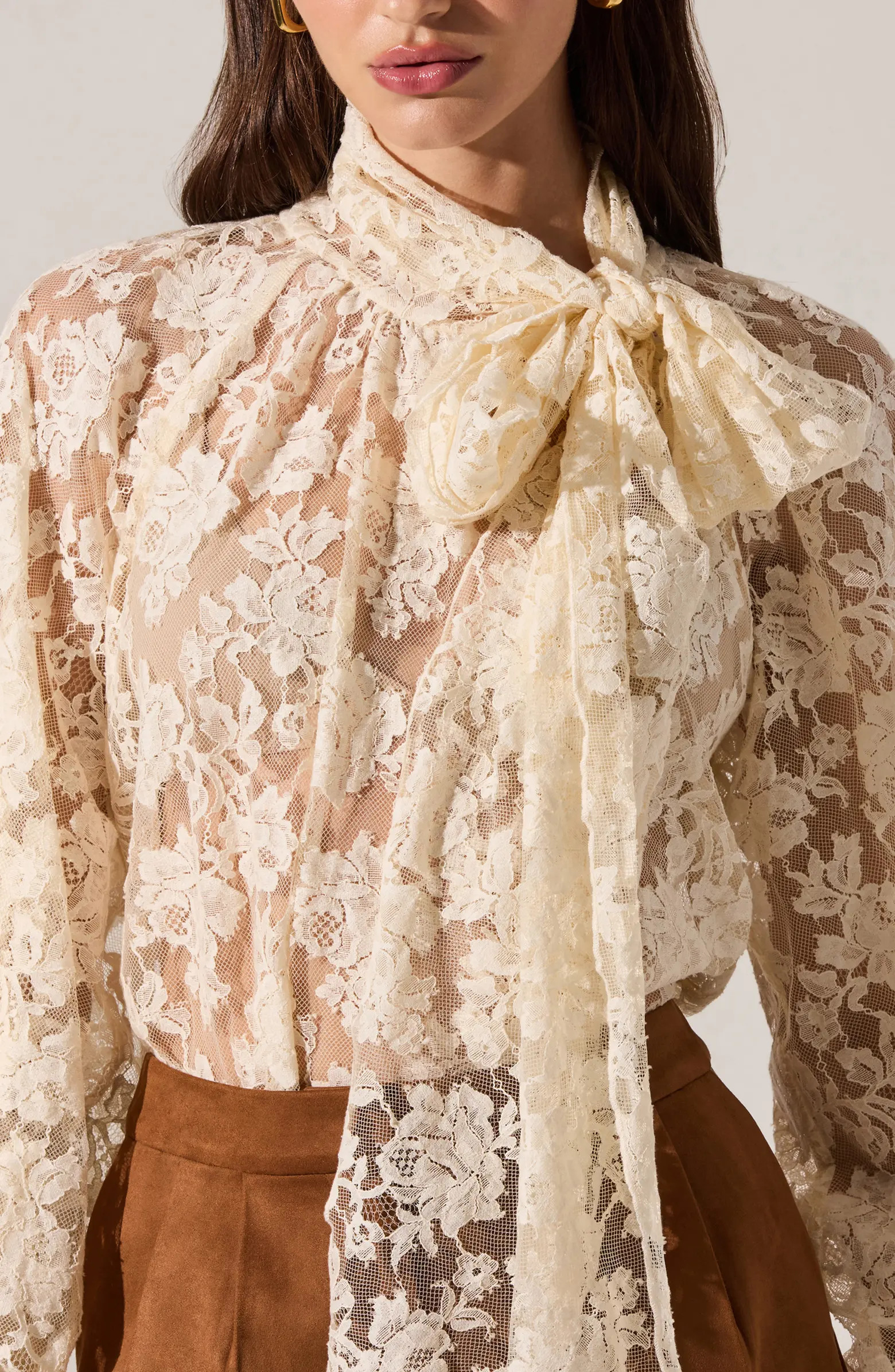 Cinthia Sheer Cotton Blend Lace Top | Nordstrom