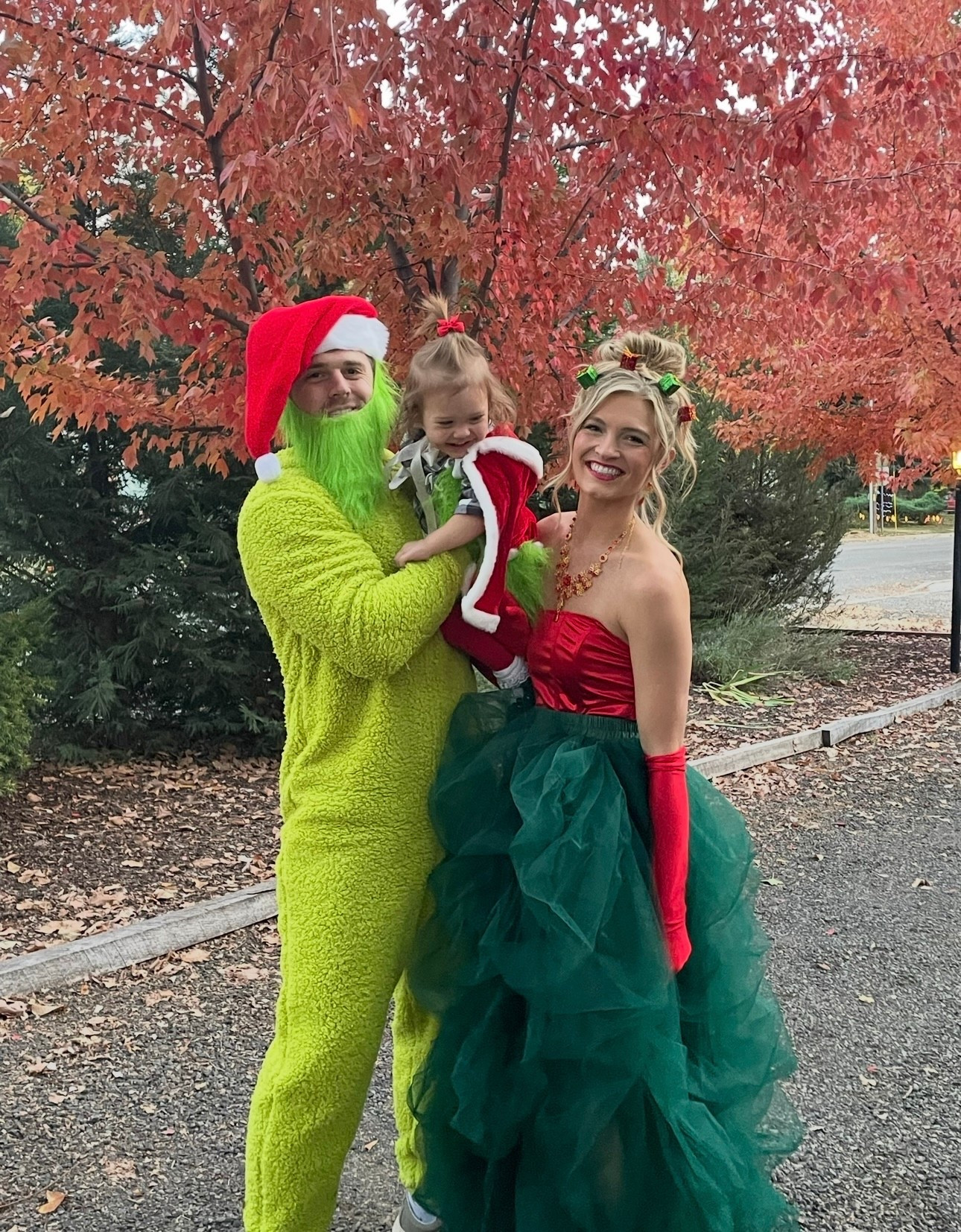 Grinch Theme Costume Idea!🎃🎄

#LTKSeasonal #LTKHalloween #LTKFamily