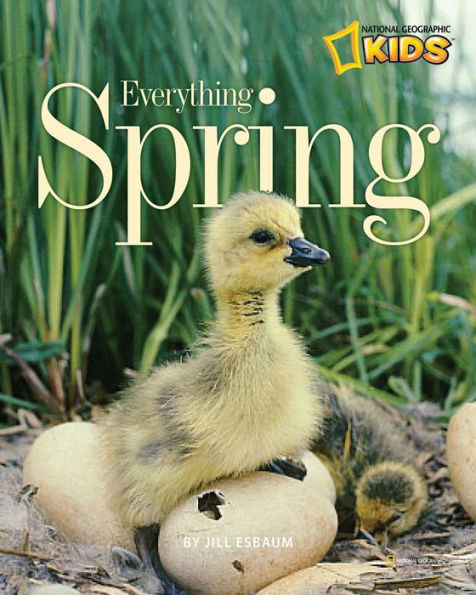 Everything Spring | Barnes & Noble