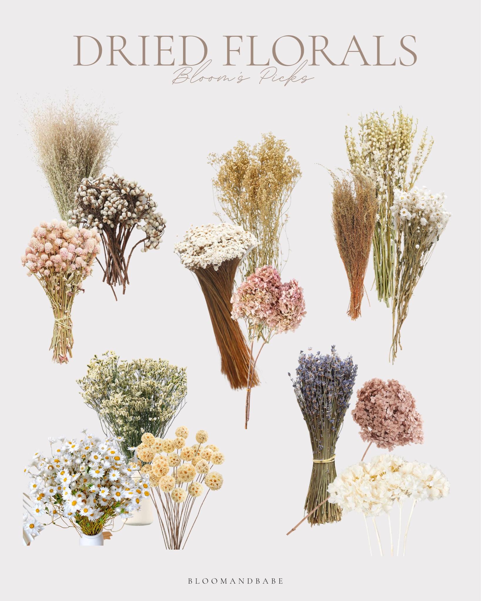 dried florals for spring / spring florals / spring stems / spring home refresh / spring home accents / spring decor / spring greenery / spring home / a floral stems / spring favorites 

#LTKhome #LTKSeasonal #LTKstyletip