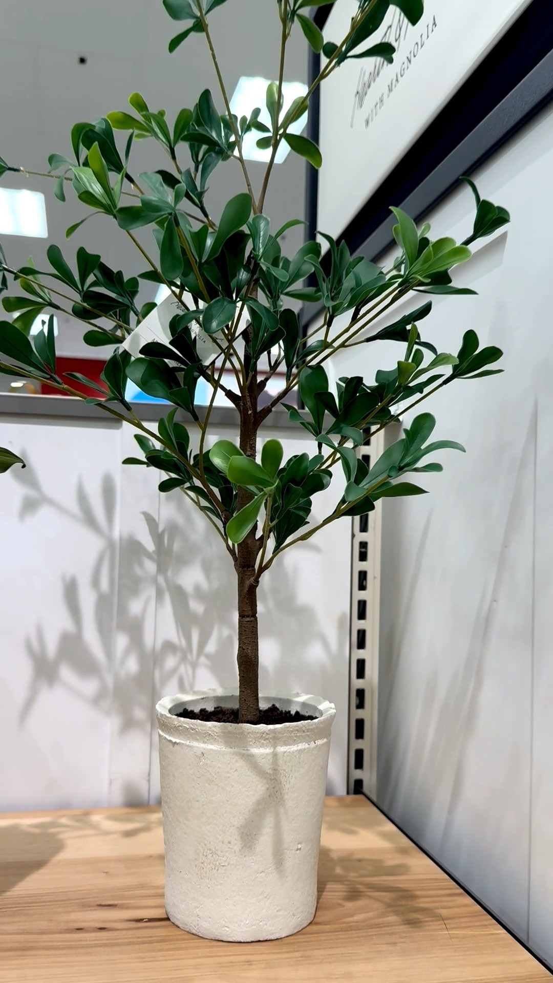 This black olive tree actually looks so realistic! 😍

#LTKSeasonal #LTKHome #LTKFindsUnder50