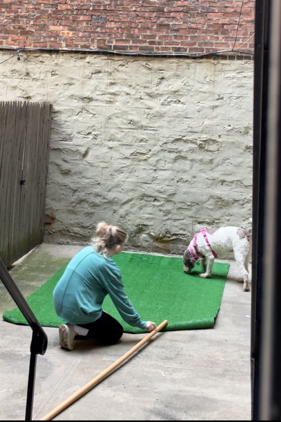 Backyard turf! 

#LTKhome #LTKSpringSale #LTKfindsunder50