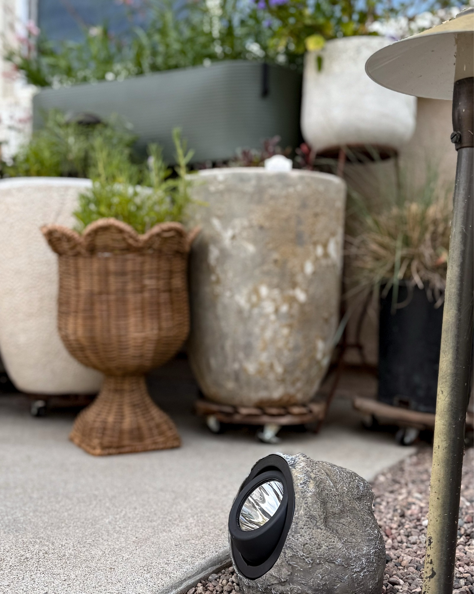 i found these solar charging lights at home depot the other day and they are perfect to add a little mood lighting to the backyard! 

#LTKHome #LTKdayinmylife #LTKSeasonal