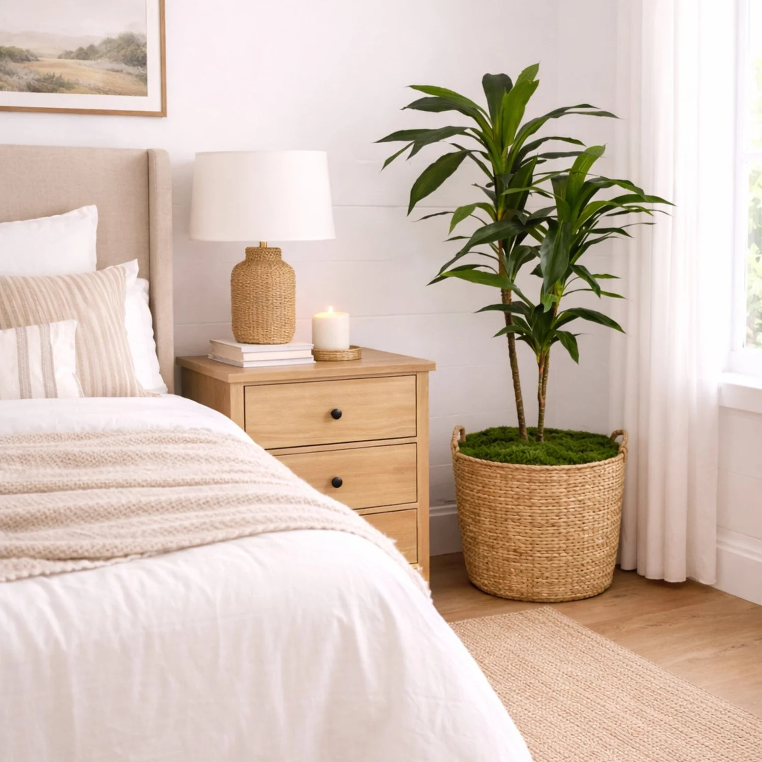 48" Dracaena Silk Plant (Real Touch) | Nearly Natural" | Nearly Natural