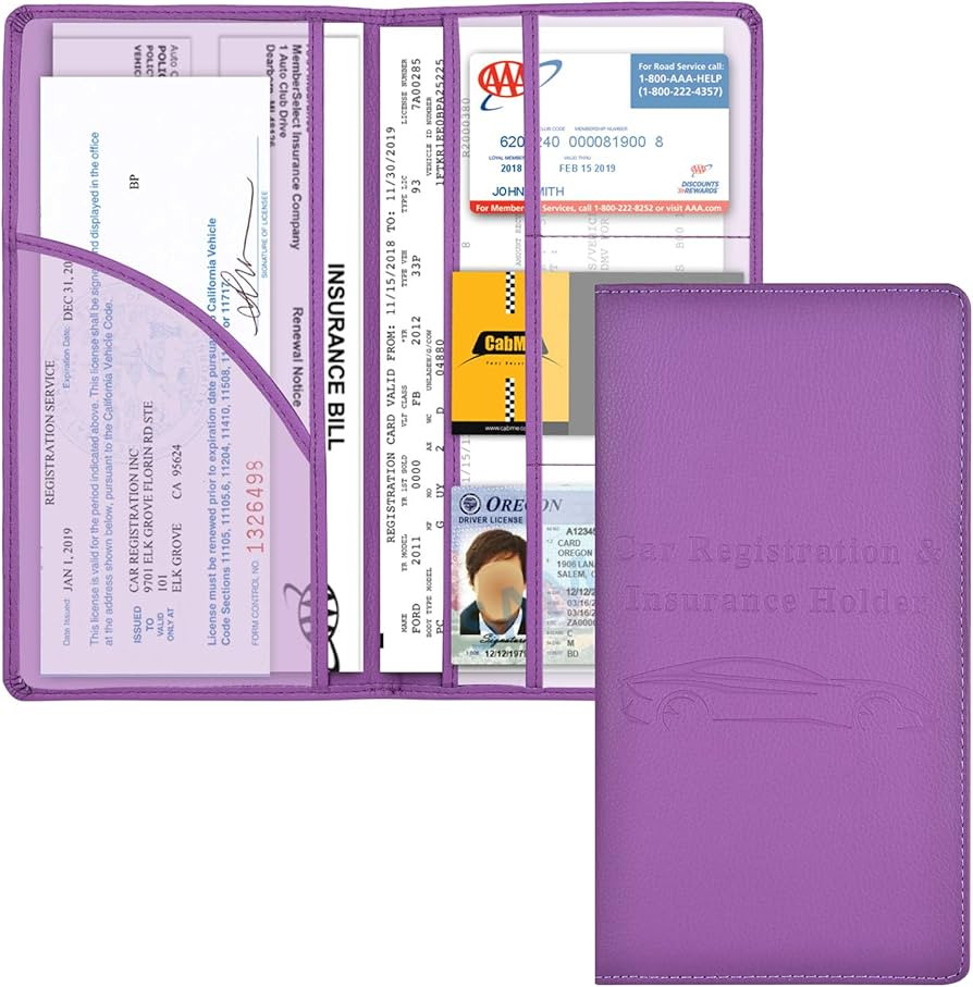 Cacturism Car Registration and Insurance Holder, Vehicle Glove Box Car Organizer Men Women Wallet... | Amazon (US)