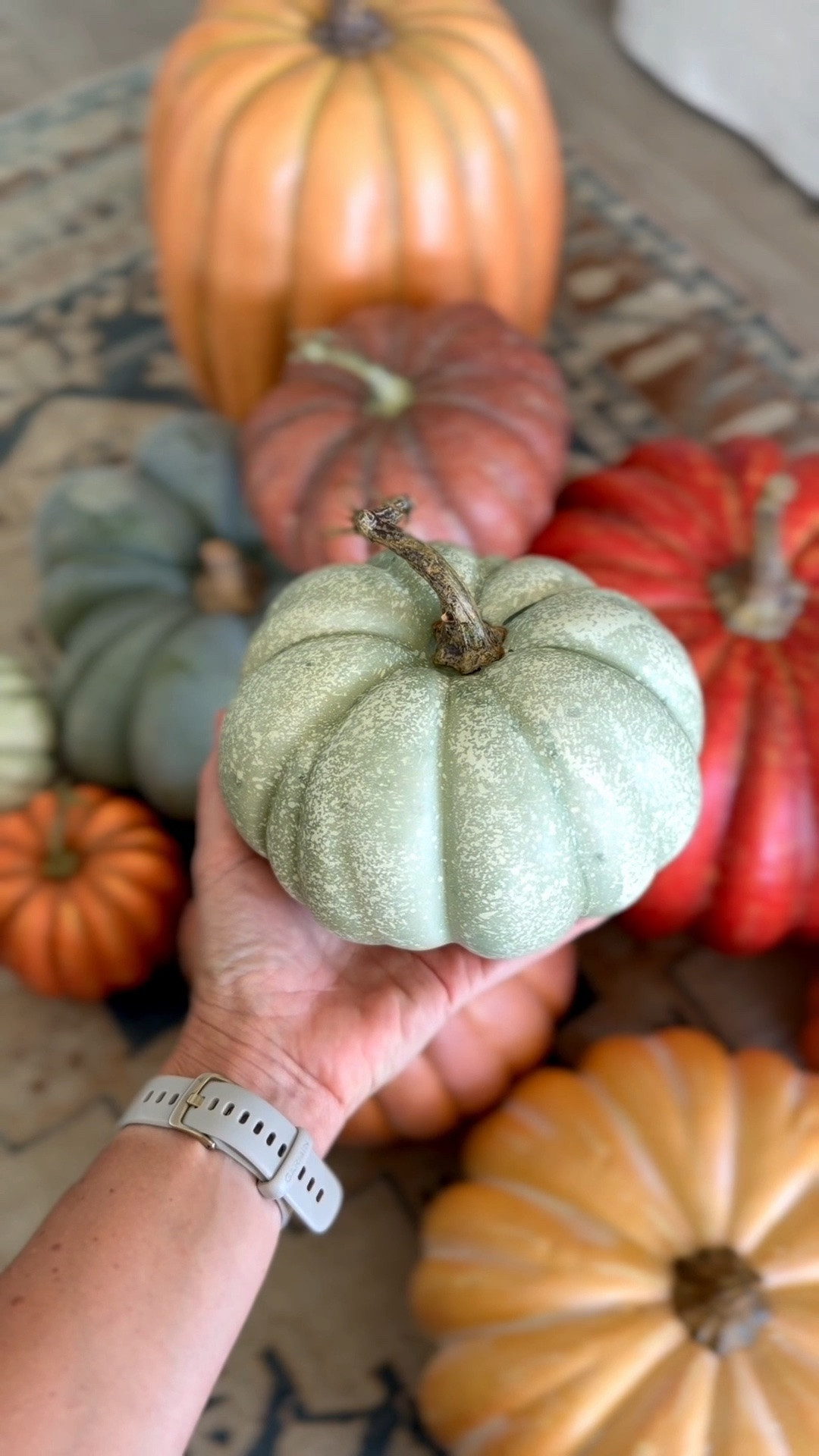 50% off these faux pumpkins! They look so realistic!

#LTKHome #LTKSeasonal #LTKSaleAlert