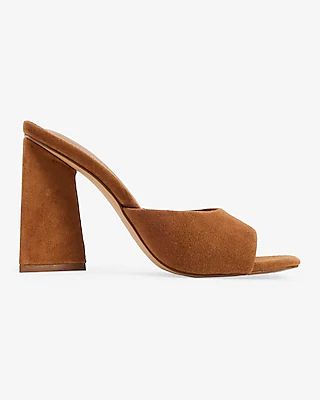 Suede Wide Block Heel Sandals | Express