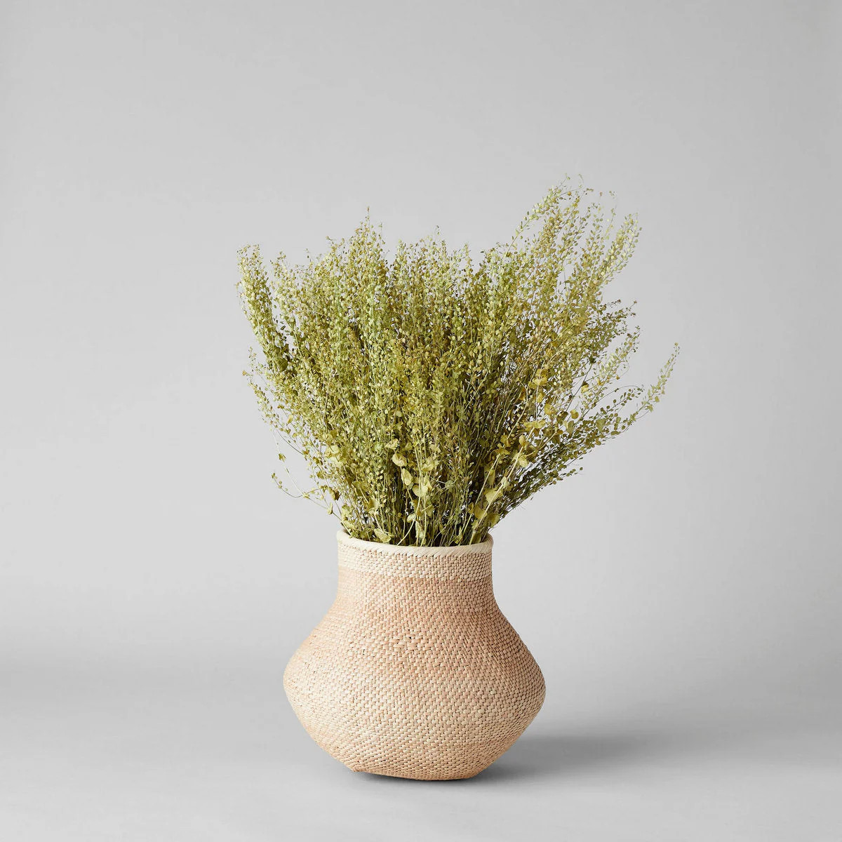 Dried Pepper Grass | Bloomist, Inc