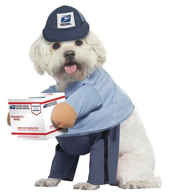 CALIFORNIA COSTUMES USPS Delivery Driver Dog & Cat Costume, Large - Chewy.com | Chewy.com