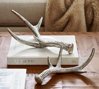 Silver Antler Object - Set of 2 | Pottery Barn (US)