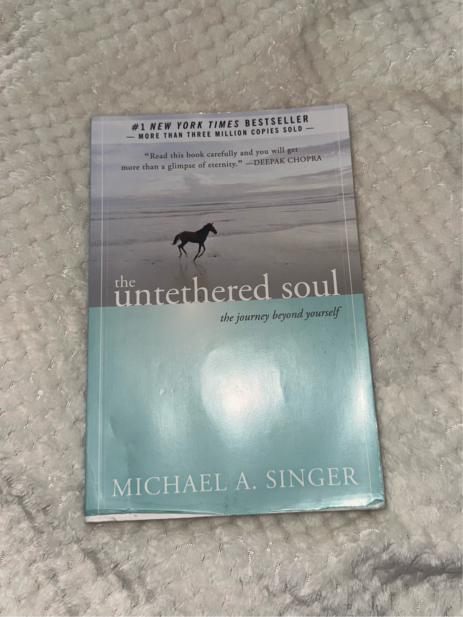 If you know me, you know this is my FAVORITE book ever. Michael Singer is my favorite author because of this book. The chapters are short but impactful and he writes in such a way that you can follow along his theories with ease. He teaches you how to live a happy and fulfilling life. The third to last and last chapter had me in TEARS. I have never been so moved by a book in my life. Highly recommend 🤍🩵