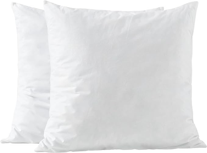 basic home 20x20 Pillow Inserts-Shredded Memory Foam Fill-High Density Throw Pillow Inserts with ... | Amazon (US)