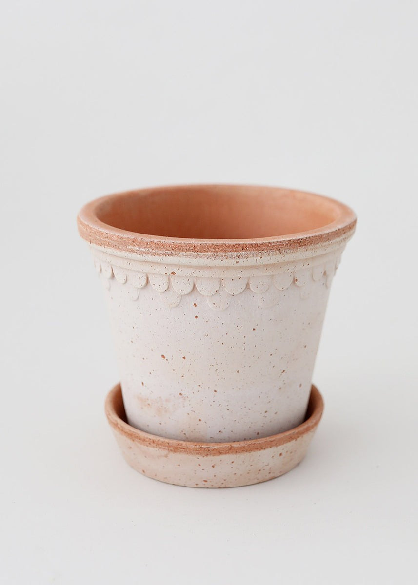 Bergs Pink Washed Clay Pot with Drainage - 6 | Afloral (US)