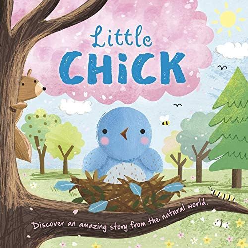 Nature Stories: Little Chick: Padded Board Book | Amazon (US)
