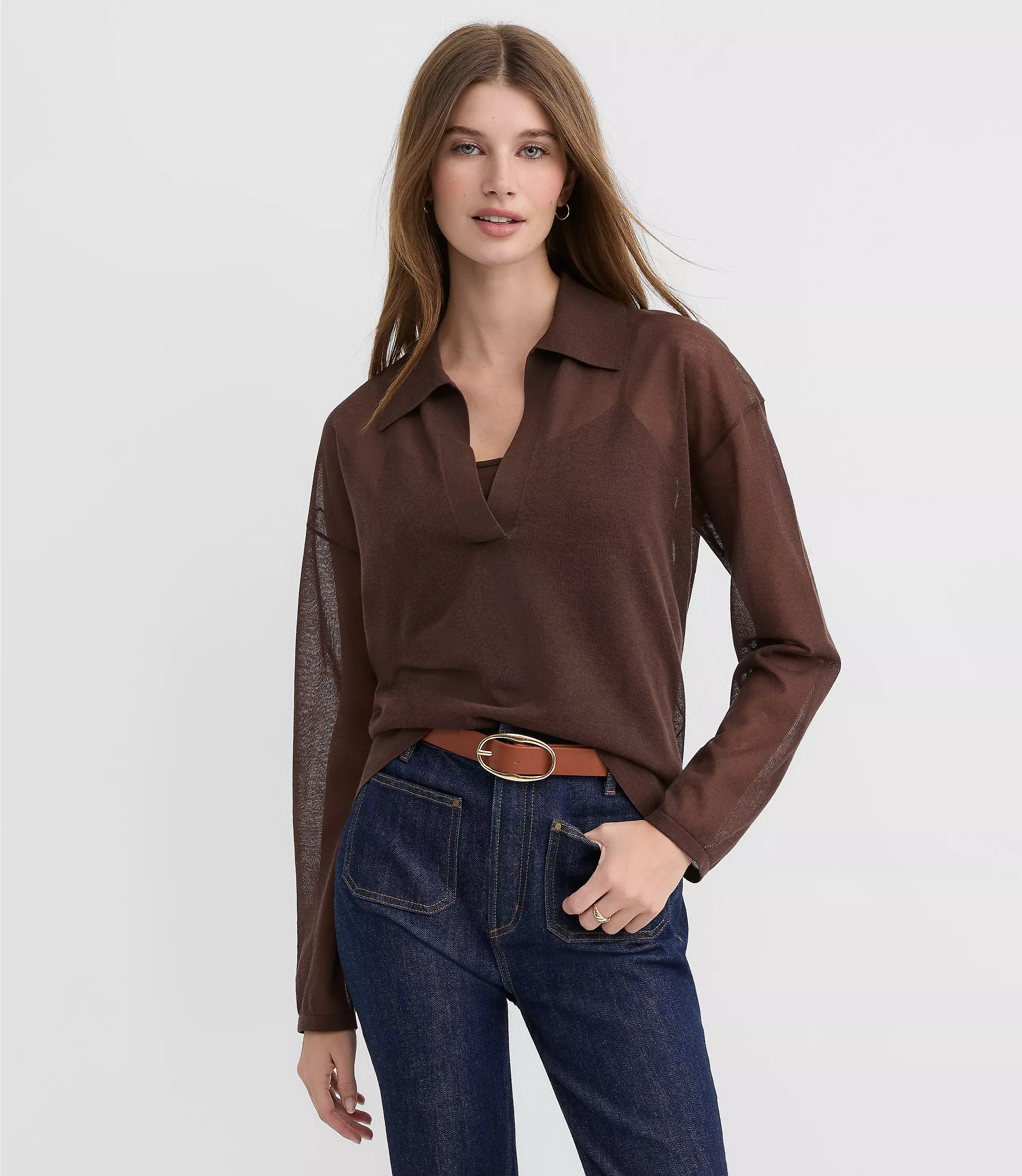 Sheer Collared Split Neck Sweater | LOFT