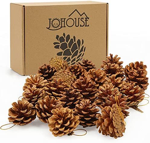 JOHOUSE 24PCS PineCones, Natural PineCones Package, PineCones Ornaments for Christmas Autumn and ... | Amazon (US)