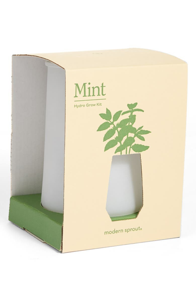Tumbler Mint Grow Kit | Nordstrom