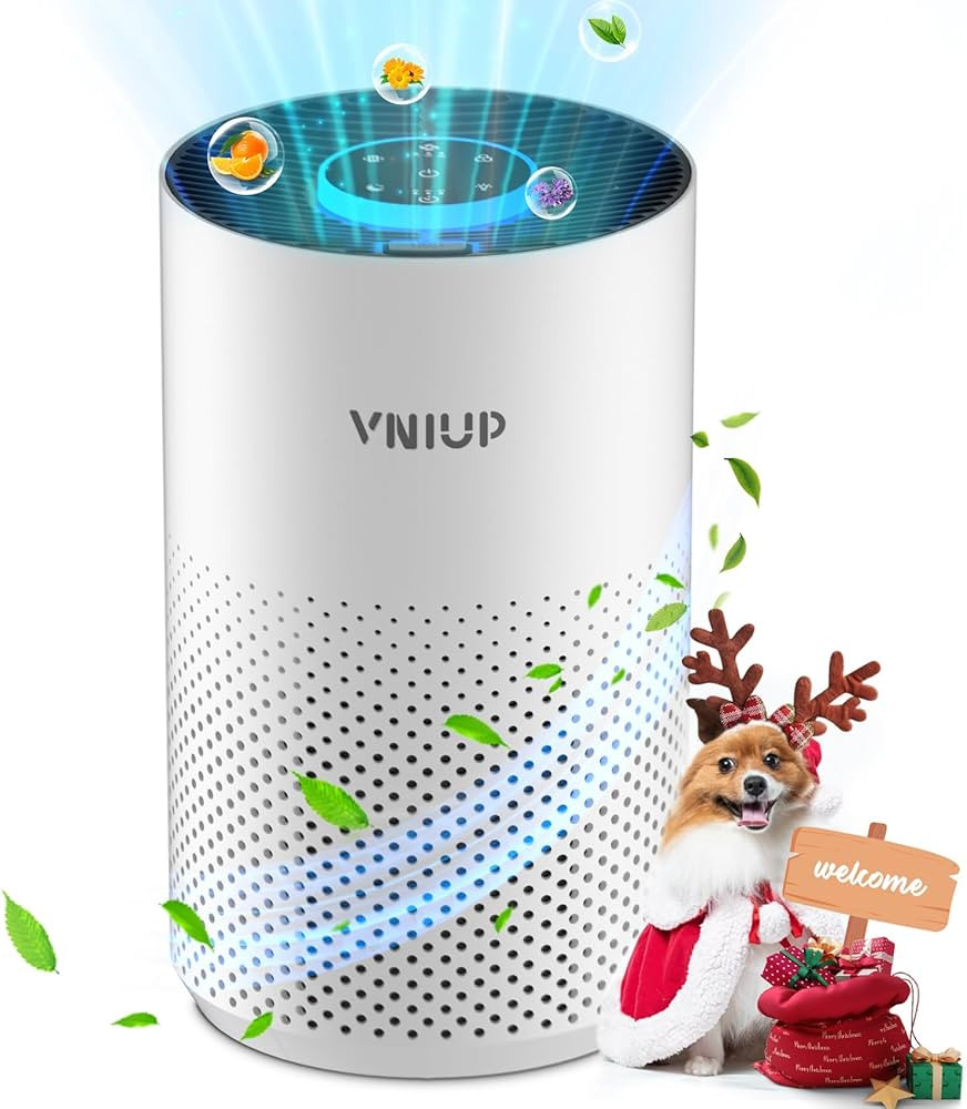 Air Purifiers for Bedroom Home up to 1000 ft², Vniup H14 True HEPA Room Air Purifiers for Bedroo... | Amazon (US)