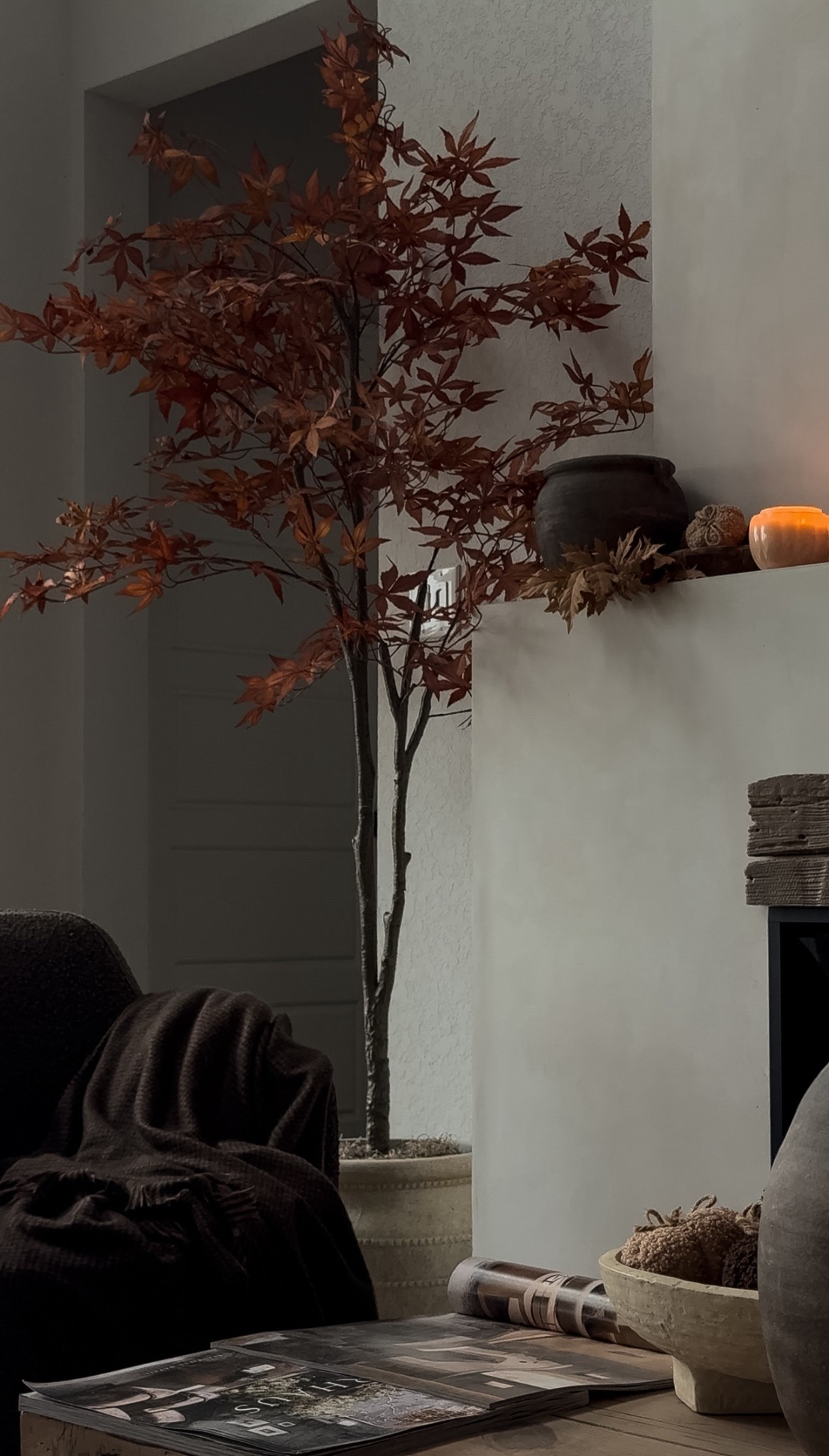 The perfect faux tree for Fall! #fauxtree #falldecor #fall 

#LTKHome