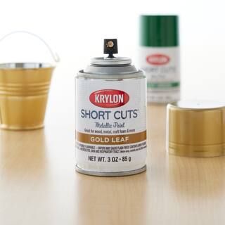 Krylon® Short Cuts® Gloss Enamel | Michaels Stores