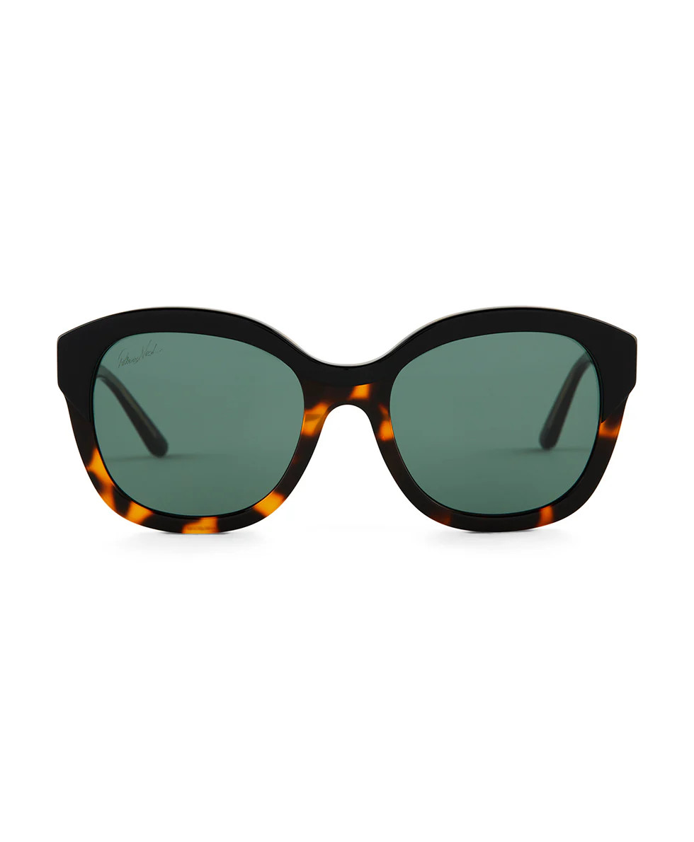 Hutton Sunglasses - Tortoise/Black | Patricia Nash Designs