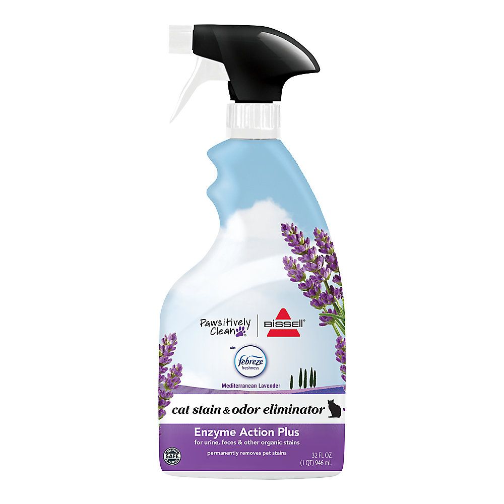 Bissell® Pawsitively Clean® with Febreze&trade; Pet Stain & Odor Eliminator - Lavender | PetSmart