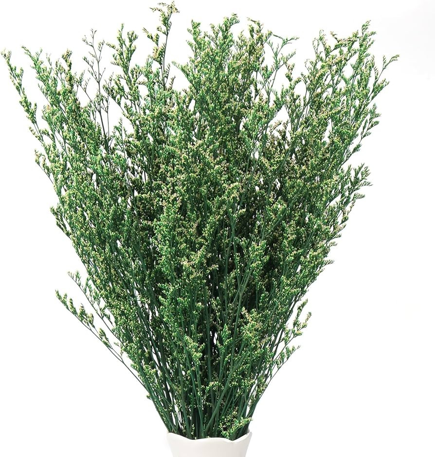Dried Preserved Caspia Limonium Statice Flower Bouquets 17 Inch 3OZ DIY Arrangements for Vase, Ho... | Amazon (US)
