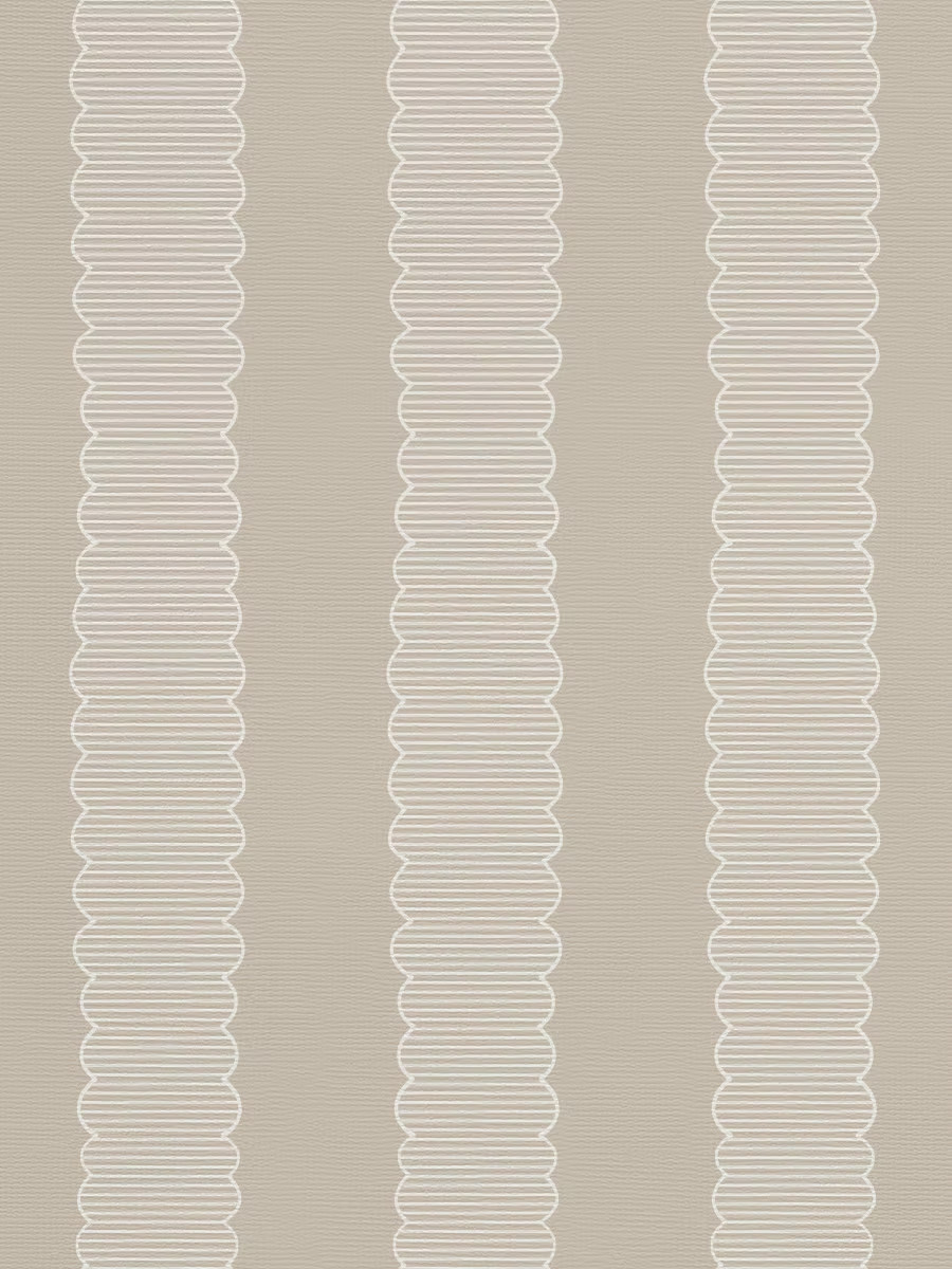 SCALLOPIA | Artza & co.