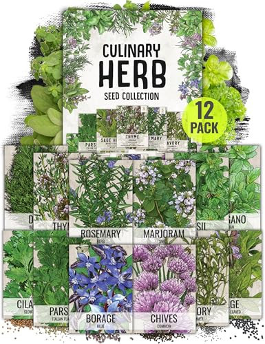 Seed Needs Herb Seeds Variety Pack Culinary Herb Collection (12 Individual Packets for Planting Indoors or Outdoors) Grow Your Own Herb Garden - Heirloom, Non-GMO | Amazon (US)