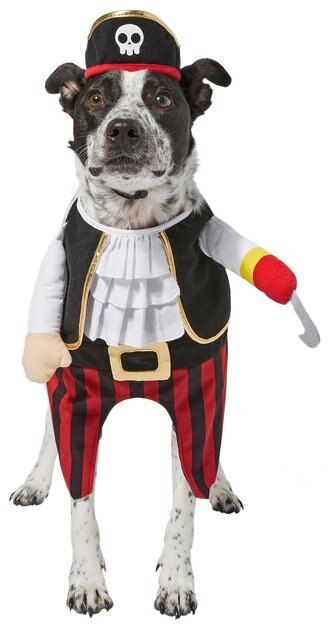 FRISCO Front Walking Pirate Dog & Cat Costume, XXX-Large - Chewy.com | Chewy.com