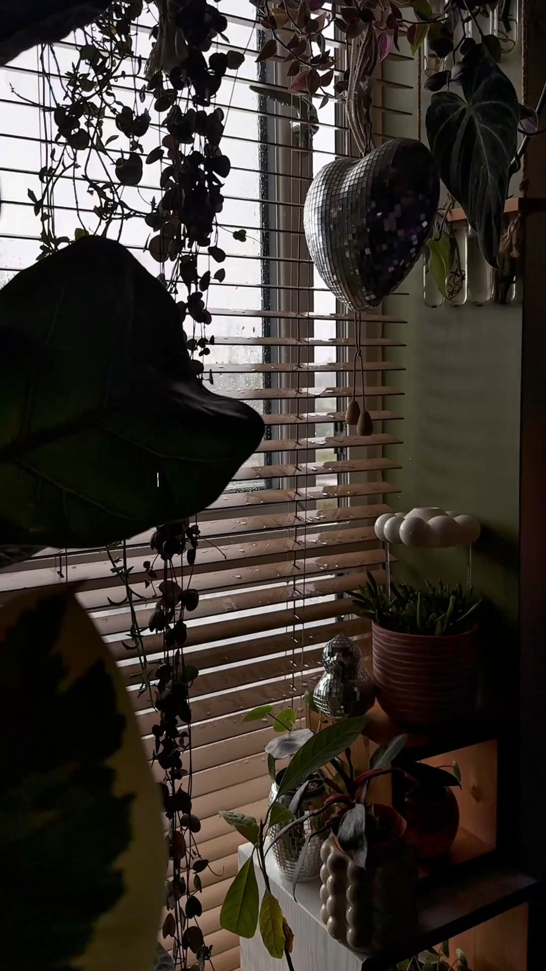 cozy rainy day shower mask routine ✨