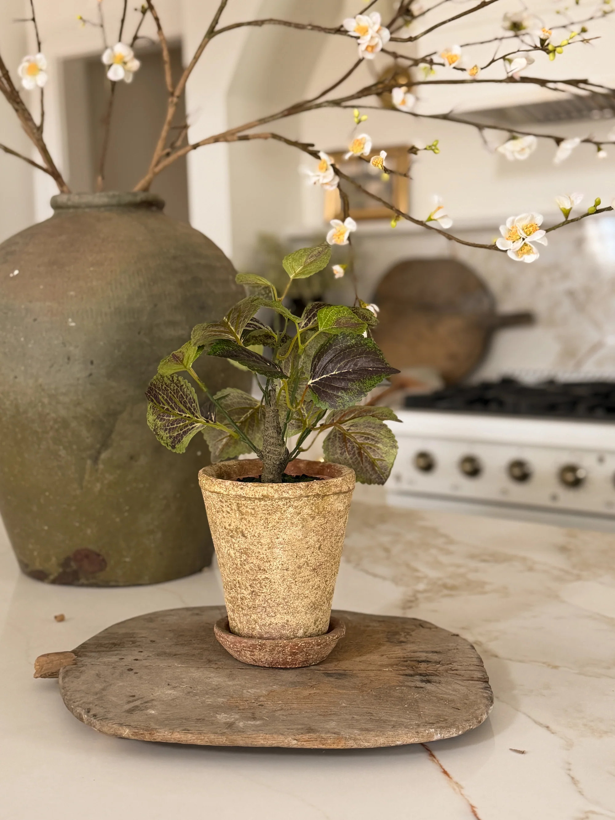 Aged Terracotta Planters | Cottage and Key