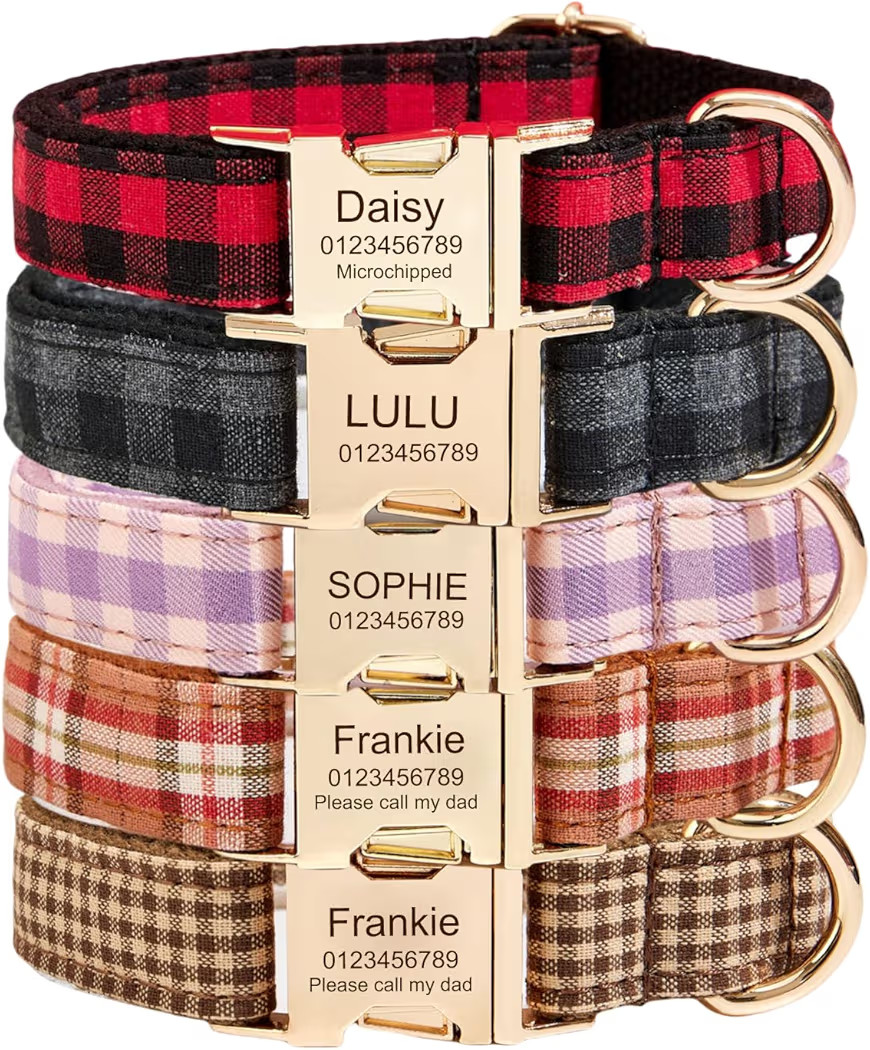 Custom Engraved Dog Collar with Name and Phone Number, Personalized for Small, Medium, and Large ... | Amazon (US)