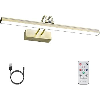 FUNCHDAY Picture Light, Wireless Rechargeable Gallery Lights with Remote, 280LM 48 LED Dimmable P... | Amazon (US)