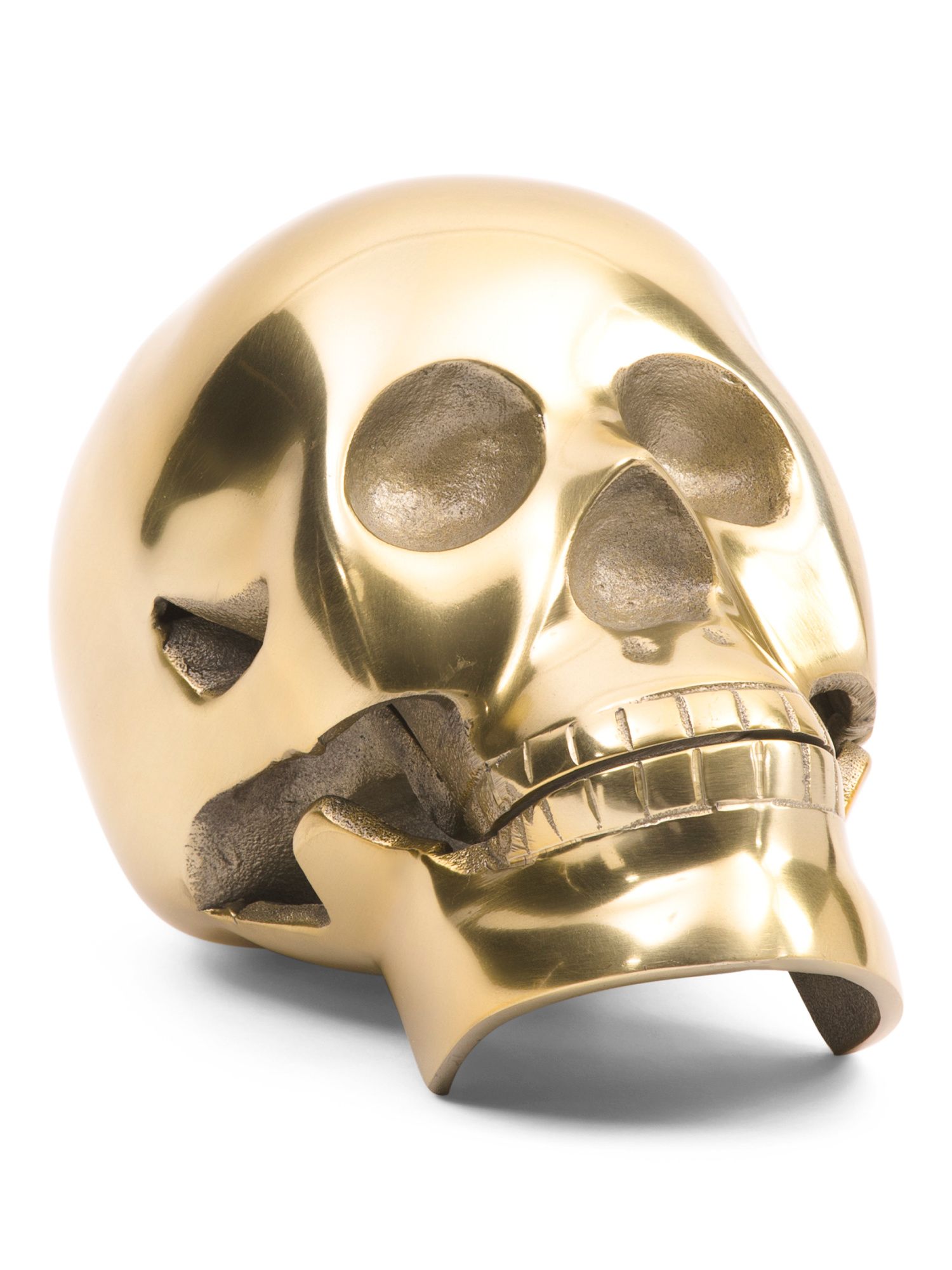 Metallic Decorative Skull | TJ Maxx