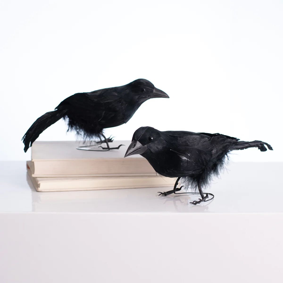 Black Feathered Crow Standing Raven Halloween Decoration Prop Set of 2 | Darby Creek Trading