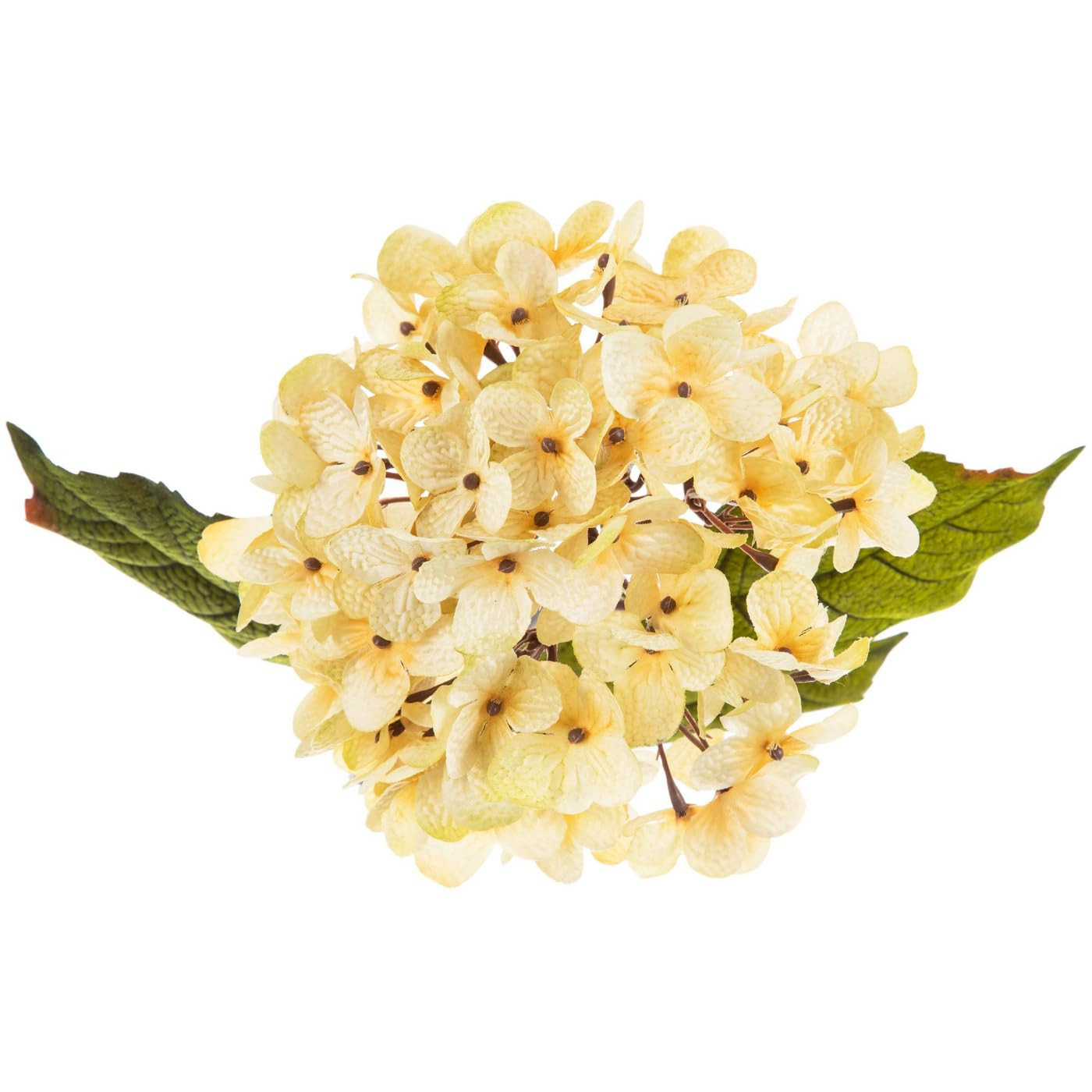 Hobby Lobby Hydrangea Spray Artificial Flower Stem, Cream, 28 Inches Long, 6 Inches Wide, Faux Fl... | Amazon (US)