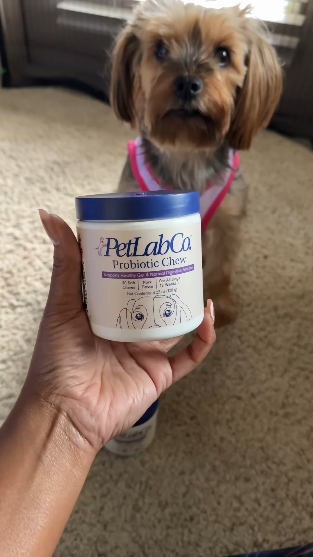 Your pup will thank you!! 🐶💖  

 #LTKdayinmylife #LTKgrwm #LTKSaleAlert
