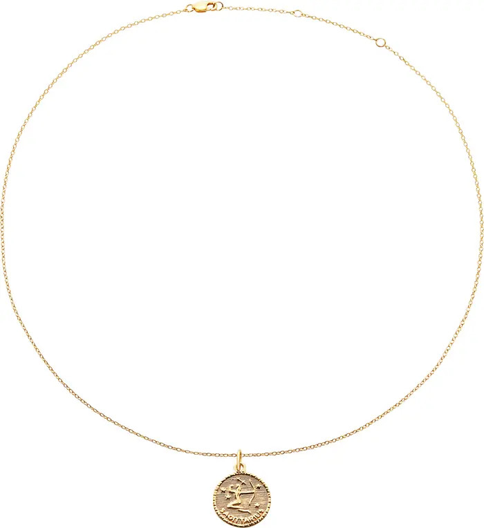 The M Jewelers The Zodiac Medallion Necklace | Nordstrom | Nordstrom