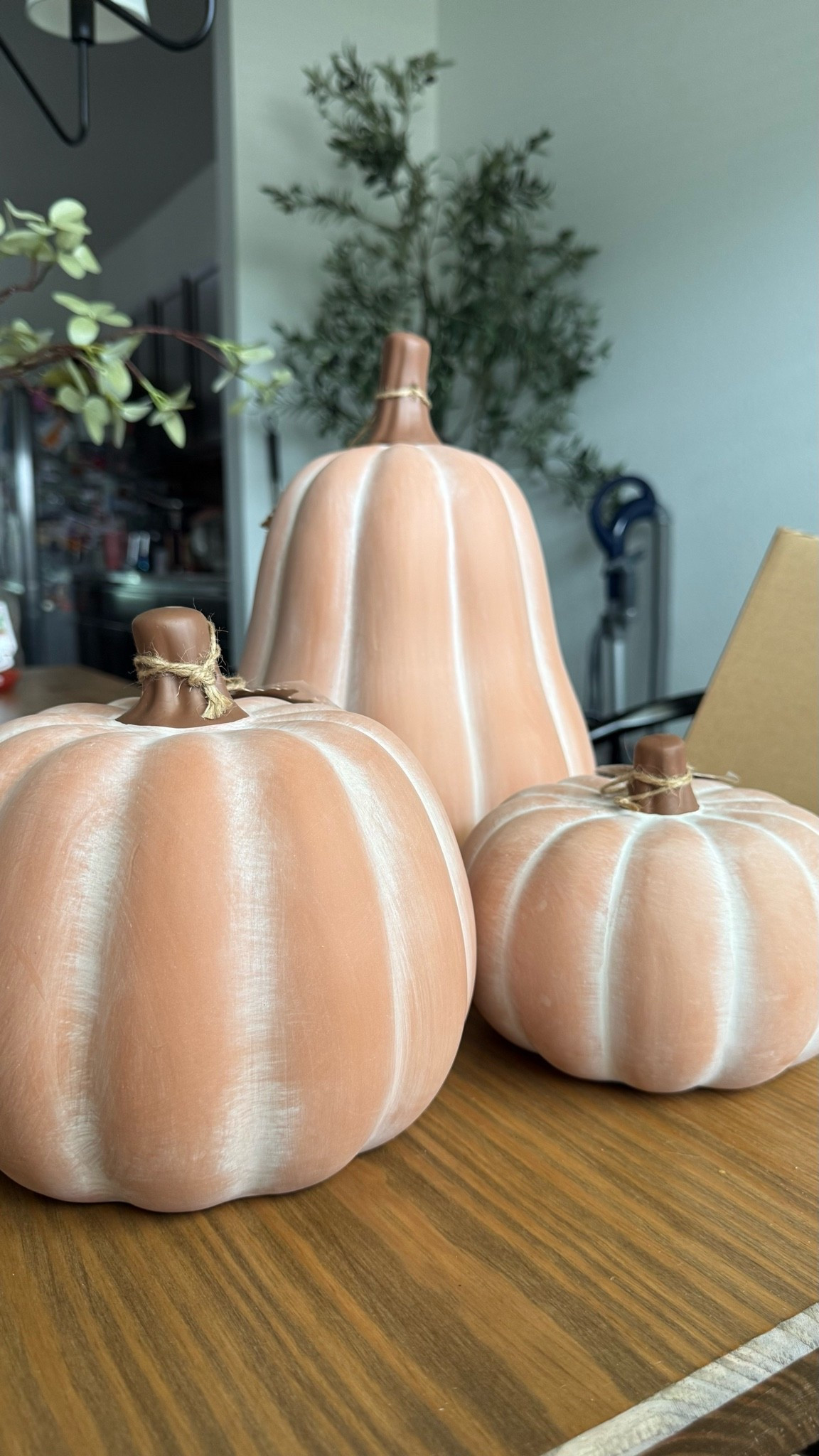 Terra-cotta viral pumpkin decor

#LTKHome