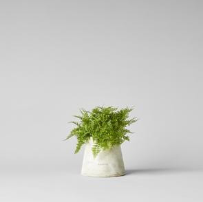 Basic Planter, White Patina | Bloomist