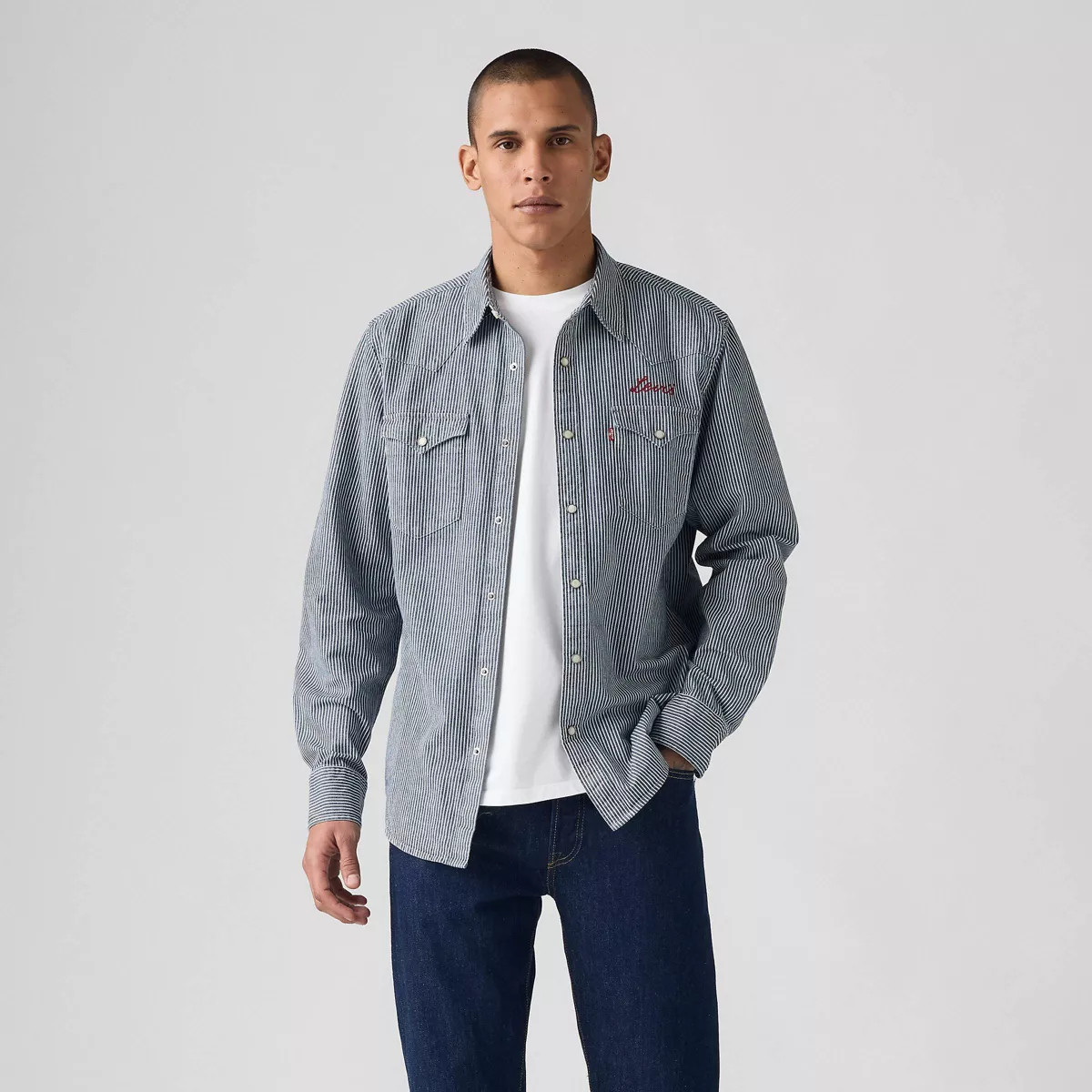 Levi's® Men's Western Standard Fit Long Sleeve Button-Down Shirt - Vanisher | Target