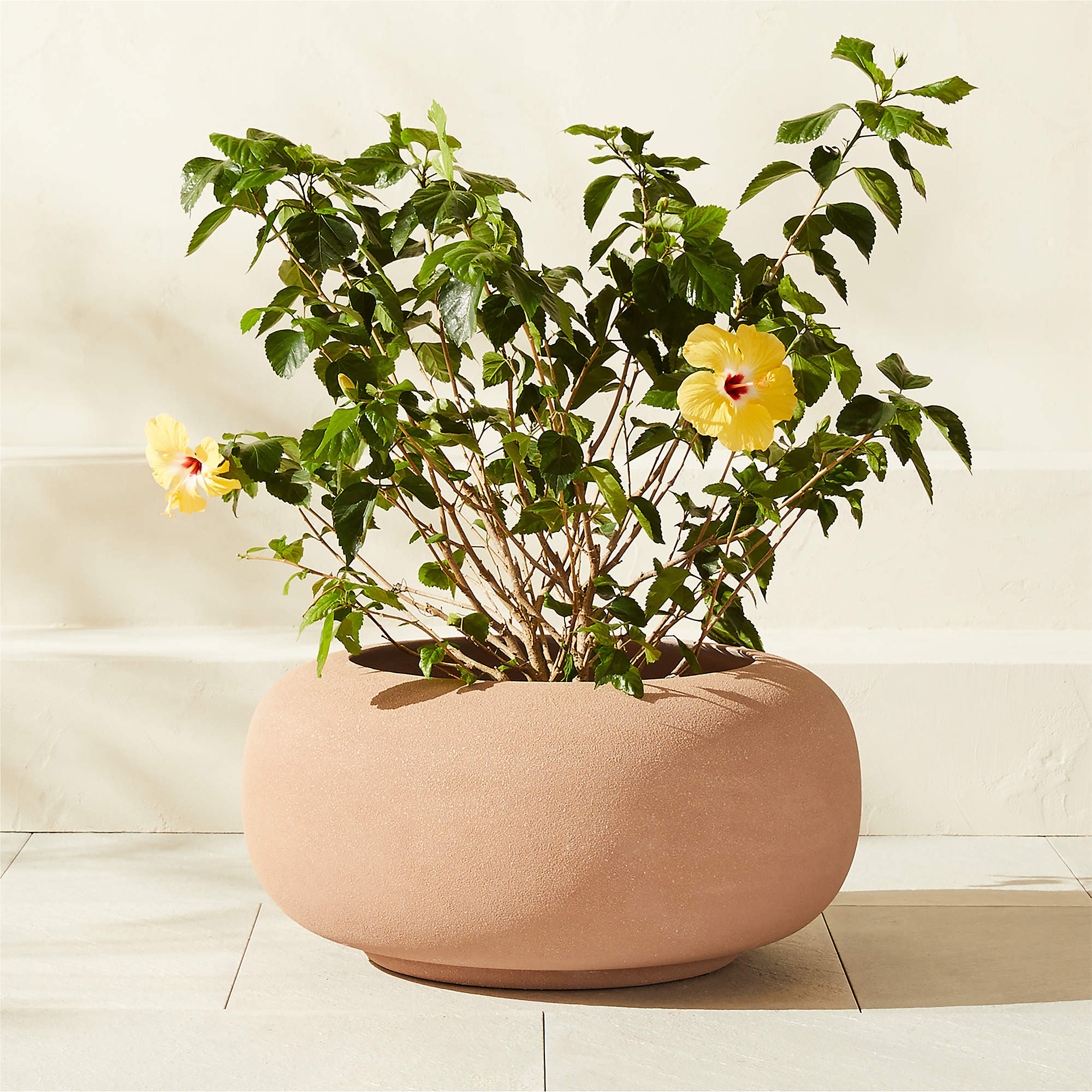 Anique Round Taupe Cement Indoor/Outdoor Medium Planter 12"H + Reviews | CB2 | CB2