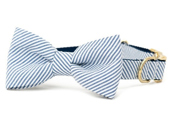 Crew LaLa™ Blue Seersucker Bow Tie Dog Collar | Etsy (US)