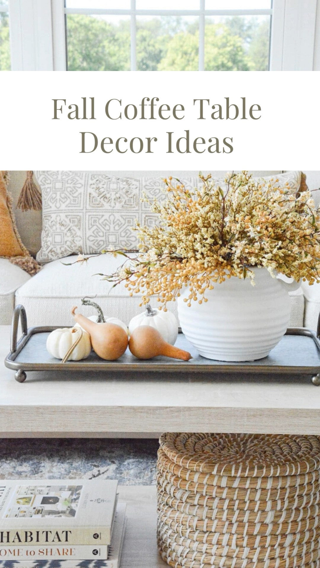 Fall Coffee Table Decor Items and Ideas

#LTKHome #LTKSeasonal #LTKVideo