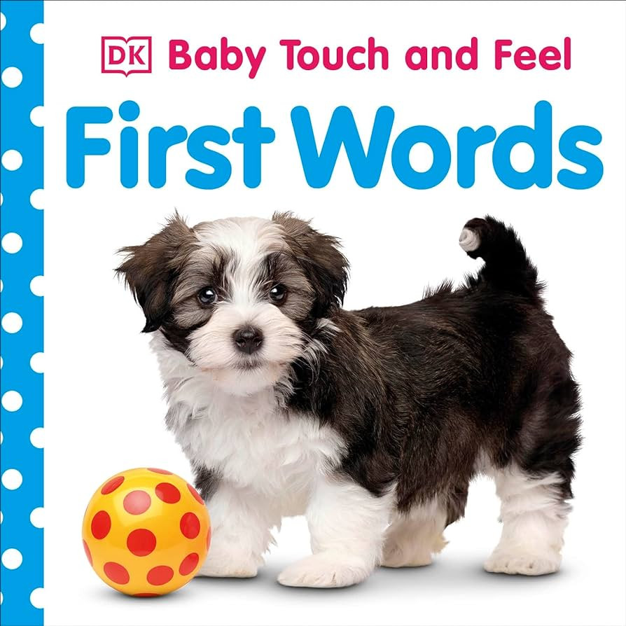 Baby Touch and Feel: First Words | Amazon (US)