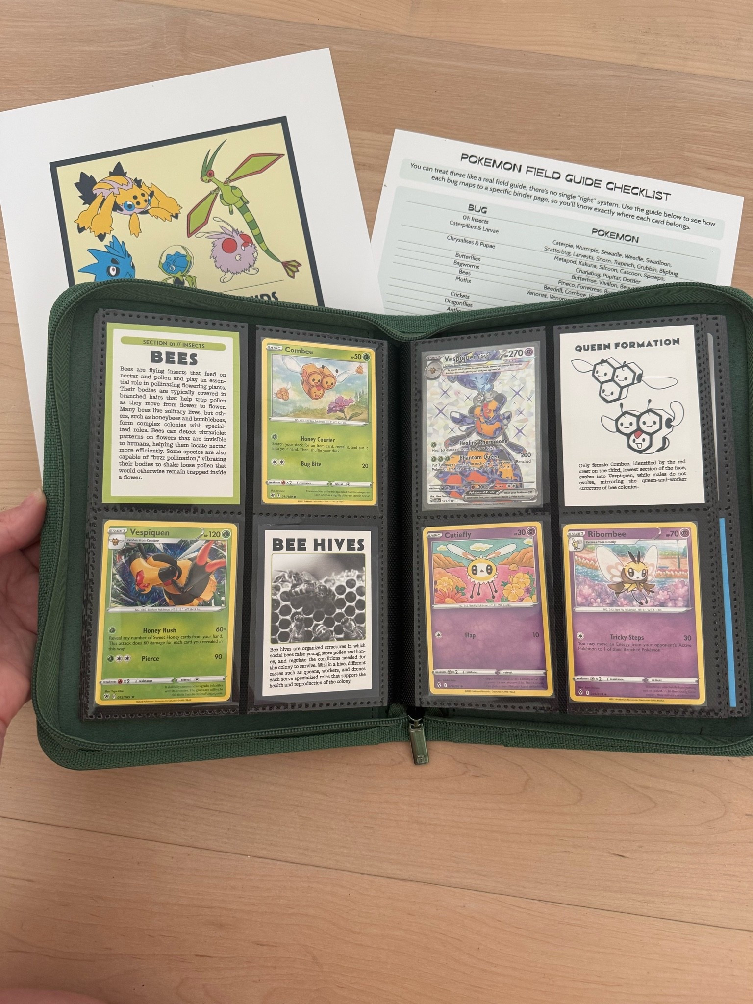 Pokemon Field Guides / collecting pokemon cards / Pokémon Field Museum / collecting guide